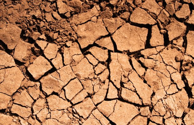 Que faire si le rapport d’étude de sol révèle un sol argileux ?