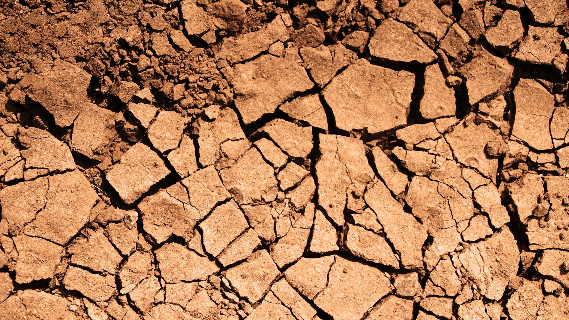 Que faire si le rapport d’étude de sol révèle un sol argileux ?